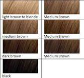 Brown Hair Colors  Trendy Shades And Their Other Aspects 